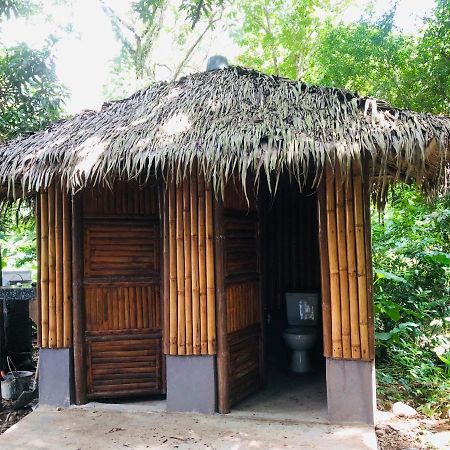 Jungle Fever Party Hostel Busuanga Eksteriør billede
