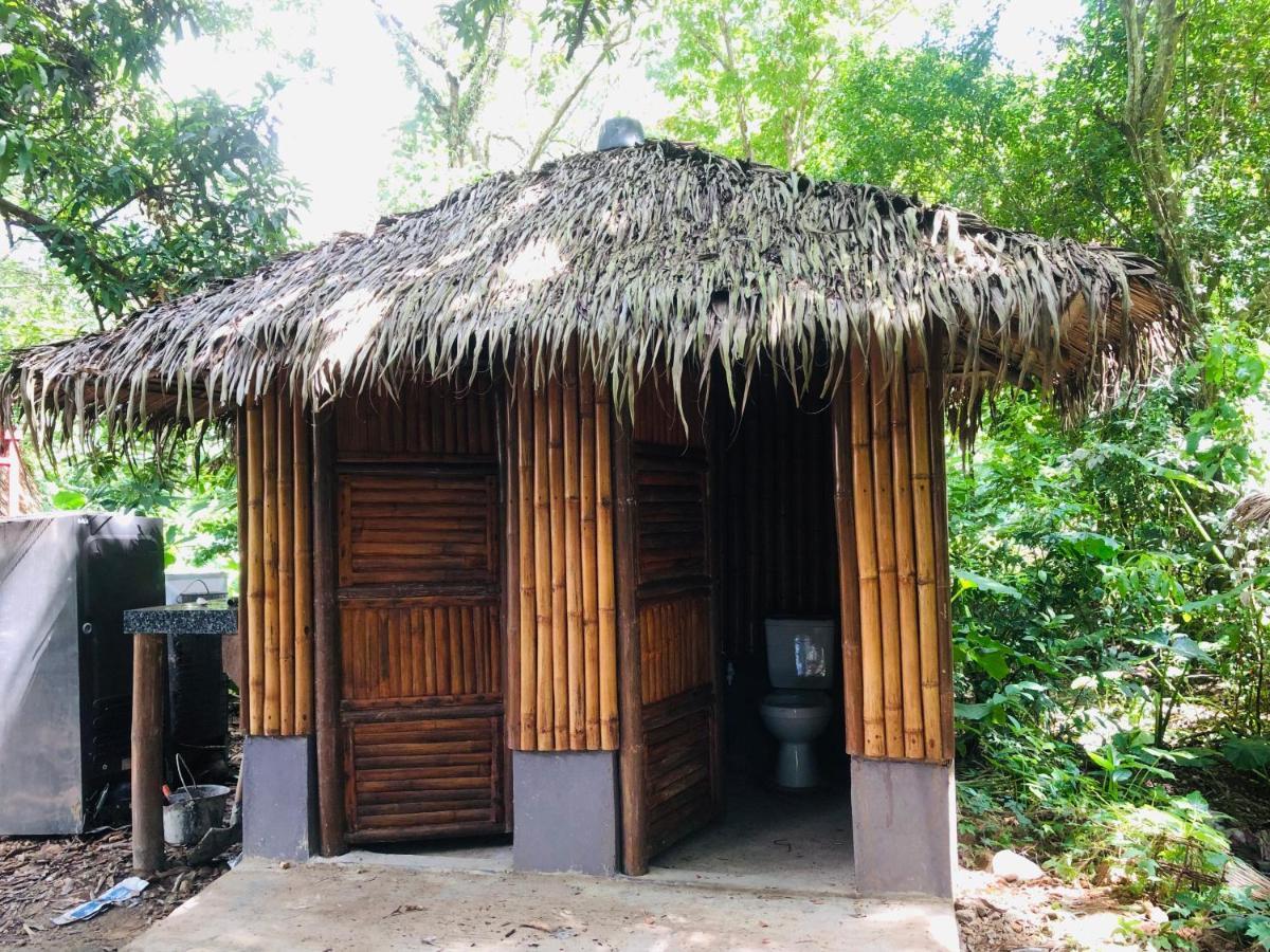 Jungle Fever Party Hostel Busuanga Eksteriør billede
